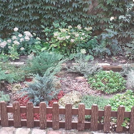 Apartman Rustik Belgrade Luaran gambar